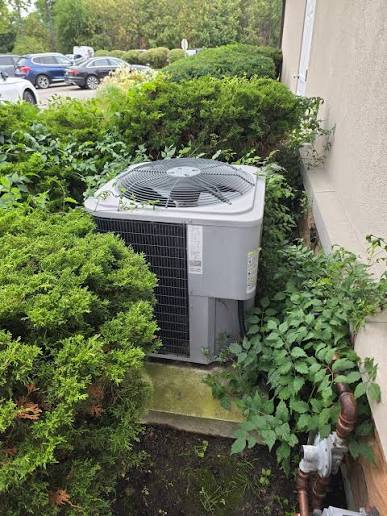 Why Is My AC Freezing Up? 4 Causes and What to Do First