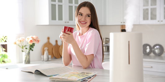 4 Ways to Raise Your Home Humidity in 2021