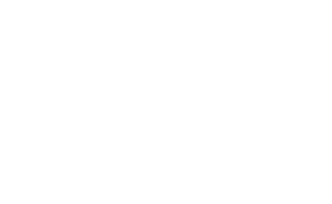 Carrier Logo